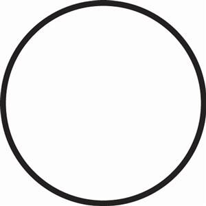 Fantasea Black O-Ring For FG7X And FG7X II Housings