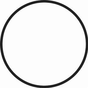 Fantasea Main Black O-Ring For FP Housing