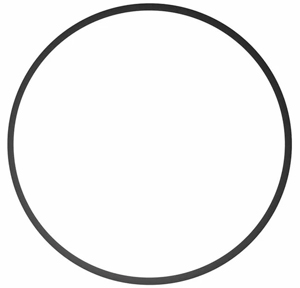 Ikelite 0132.36 Replacement O-Ring