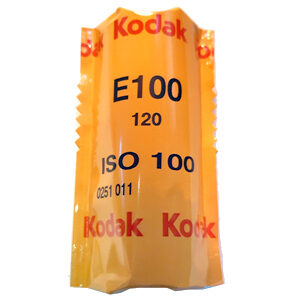 Kodak Professional Ektachrome E100 120 Roll Film (Single)