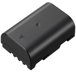 Panasonic DMW-BLF19E Lithium Ion Rechargeable Battery