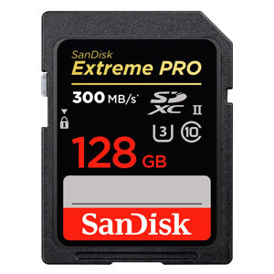 SD Memory Cards
