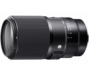 Sigma 105mm F2.8 DG DN Macro | Art Lens L-Mount Fit