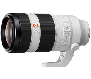 Sony 100-400mm F4.5-5.6 FE GM OSS Lens (E Mount)
