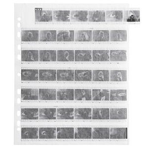 Fotoimpex Negative Sleeves 35mm - 7 Strips (100 Sheets)