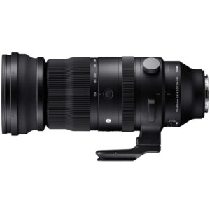 Sigma 150-600mm F5-6.3 DG DN OS | Sports