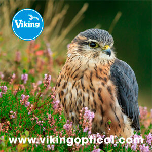 Viking Optics Cleaning Cloth - Merlin