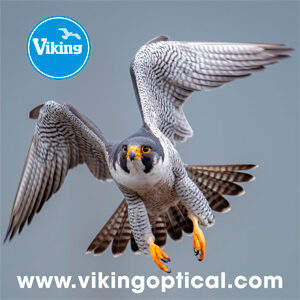 Viking Optics Cleaning Cloth - Peregrine