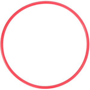 Olympus POL-E301 O-Ring